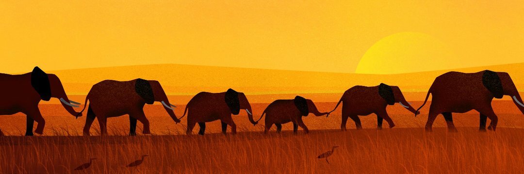 Header Image