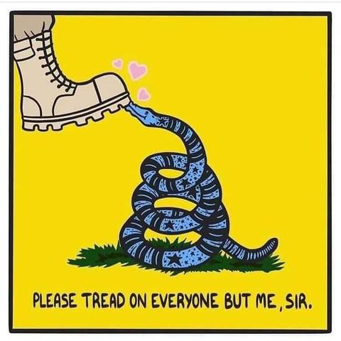 The Gadsden flag, but the snake is blue, with stars and stripes, and is kissing a military boot that is on the top left of the flag, coming down to stomp.

The text reads

PLEASE TREAD ON EVERYONE BUT ME, SIR.