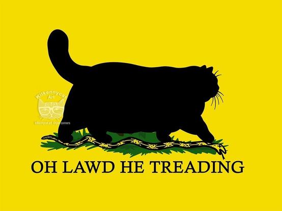 Don't tread on my flag, except there is a black silhouette of a fat cat stepping on and crushing the snake.
OH LAWD HE TREADING
