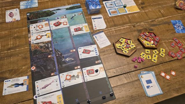 Completed solo finspan