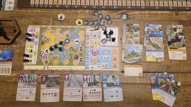 Completed zoo in solo ark nova