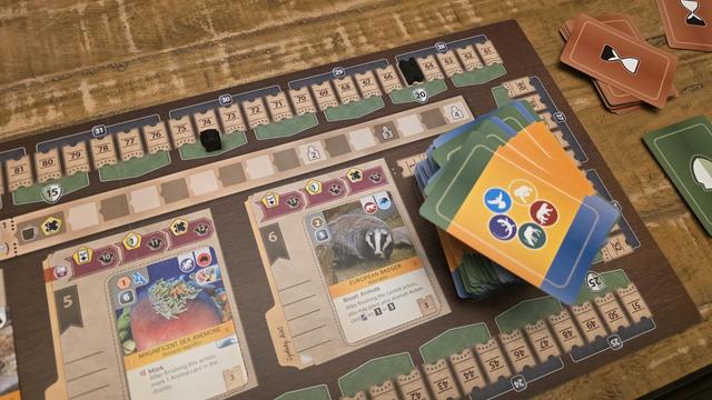 Final score in solo ark nova