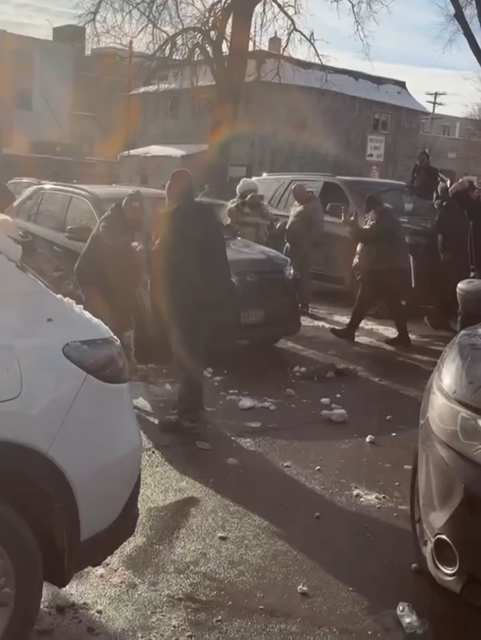 ICE officer shove, drag person across between parked cars. Shrieking crowd throws snowballs. ICE responds with pepper spray.