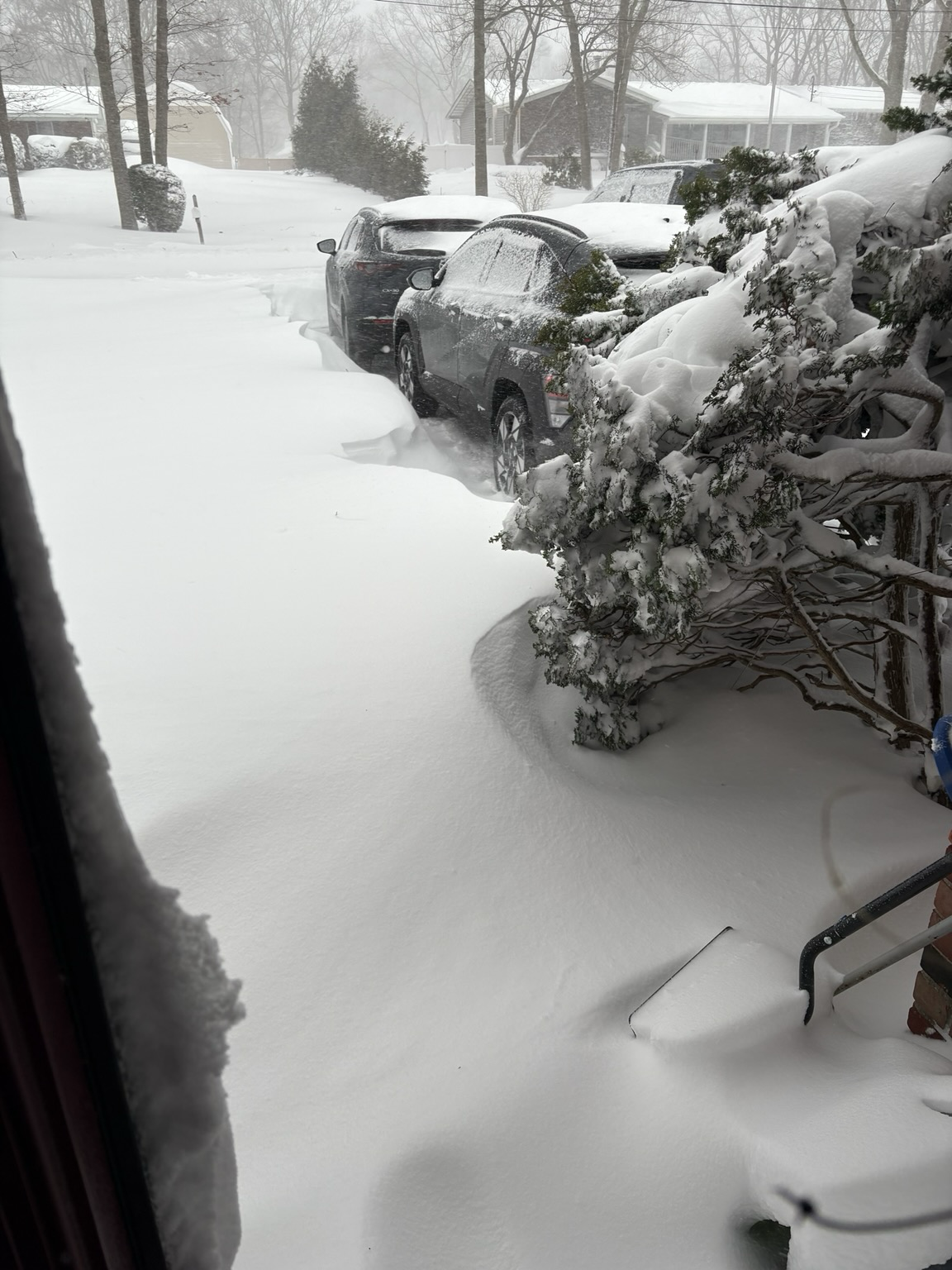 A snow bank with a bush on the right. I took an earlier photo from the same spot, that had footprints in the snow.Those prints are gone due to the wind blowing the snow around