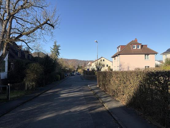 Picture of a street, on the left a leafless tree, the sky is blue, no cloud to see. On the right some two/three level houses and bushes splitting the street from the gardens behind